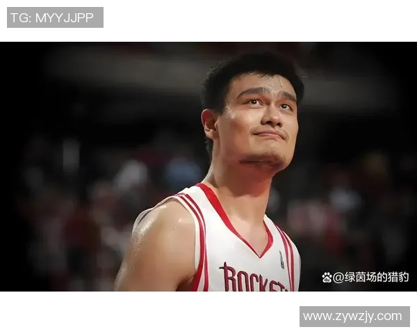 姚明恶搞漫画大揭秘：从篮球巨星到搞笑角色的奇幻旅程