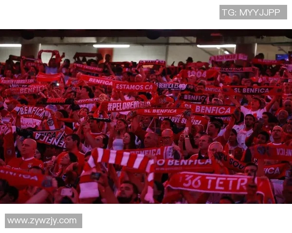 美国足球明星遭遇枪击事件引发社会关注与安全讨论